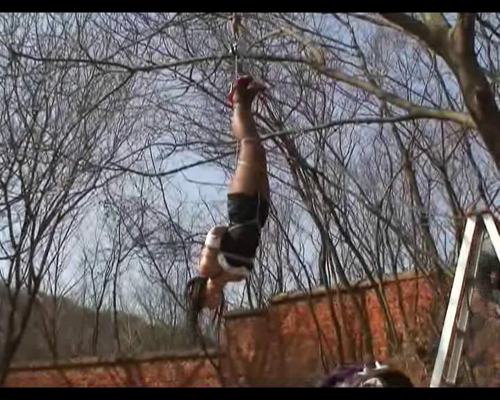 虎年 上[00-33-02][20250421-211505962].jpg